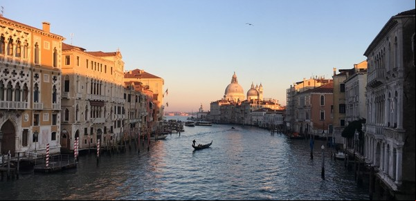 Coronavirus: La sorpresa inesperada de ver gaviotas en Venecia