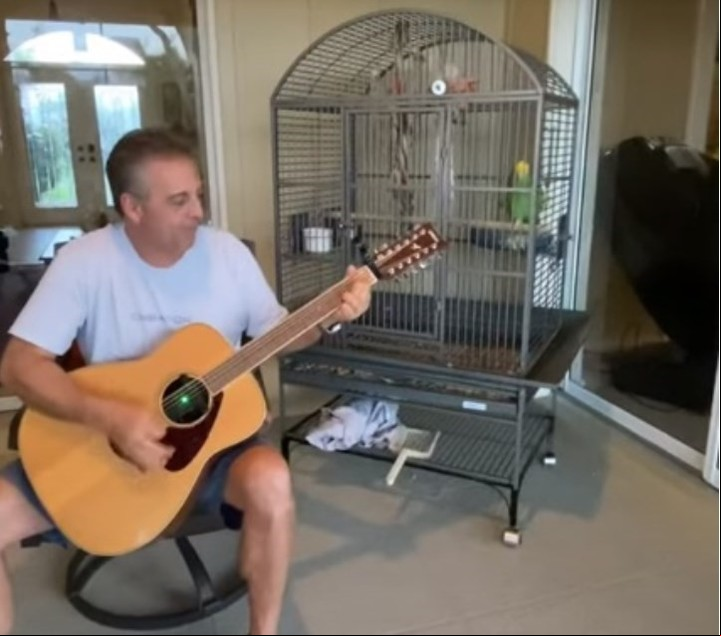 Al escuchar la melodía, el loro no duda en cantar ese himno del rock de Led Zeppelin.