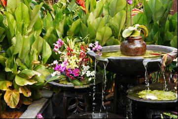 Feng Shui interior: cómo aumentar tu energía vital