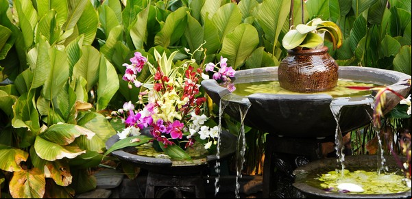 Feng Shui interior: cómo aumentar tu energía vital