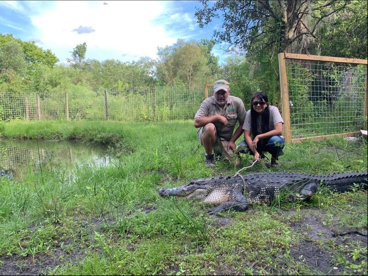 Desde Croc Encounters también han informado de que al cocodrilo le faltaban dos extremidades (Facebook).