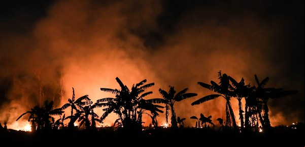 Brasil: ¿La destrucción de la Amazonía pone en jaque la seguridad climática del planeta?