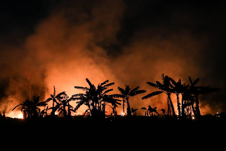 La Amazonia, un pulmón del planeta, se ha visto afectada por masivos incencios forestales. Foto: EFE