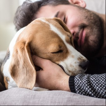 Tres lecciones que tu perro puede darte en cuarentena