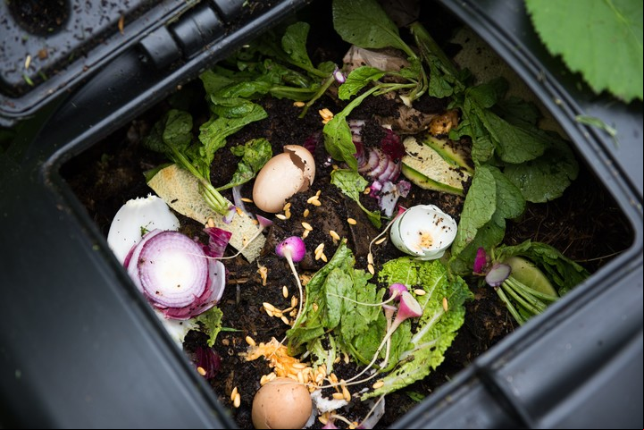 Separar los residuos que generamos ayudará a reducir la basura. Foto: Shutterstock.