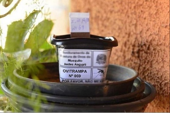 Cómo evitar que los mosquitos invadan tu hogar. Las ovitrampas son similares a macetas y se instalan una en exteriores y otra en interiores. Combaten a los mosquitos del dengue.