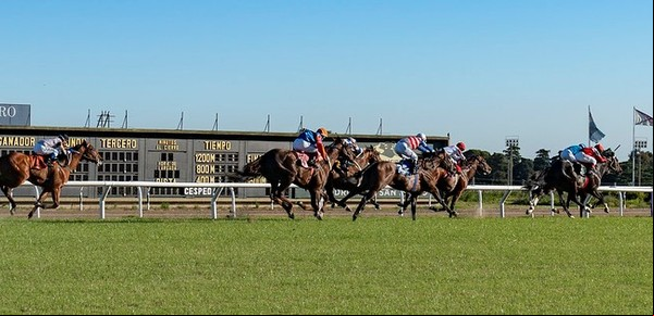 Glamour y mesas de hasta $ 30.000 para ver la carrera de caballos más importante del país