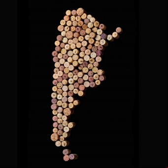 El vino argentino que viene: nuevas propuestas para salir de la zona de confort