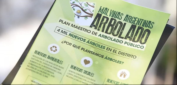 Jacarandás, "pata de buey" y liquidambar: cómo es el plan para llenar de árboles nativos un municipio del GBA