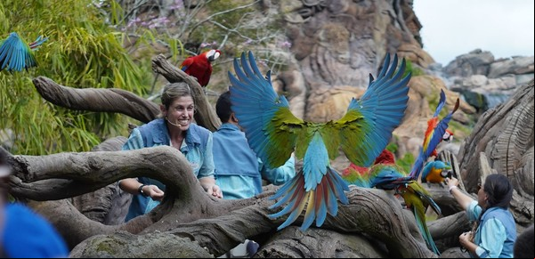 La Magia de Animal Kingdom se une al estreno de Disney+ en Latinoamérica