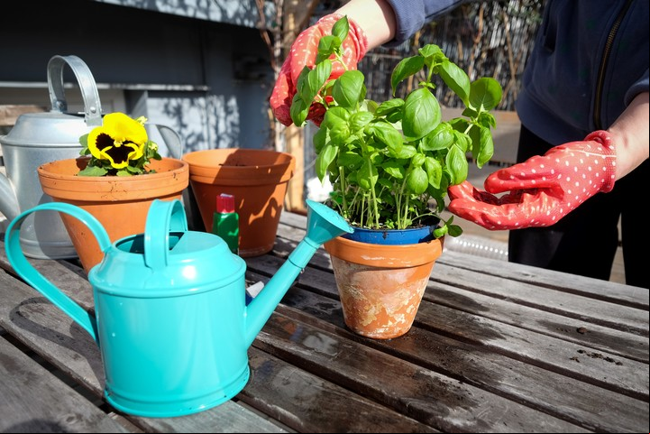 Huerto en casa: beneficios y cómo empezar uno. Es importante contar con una canilla cercana a la mesa de cultivo. /Foto: Shutterstock.