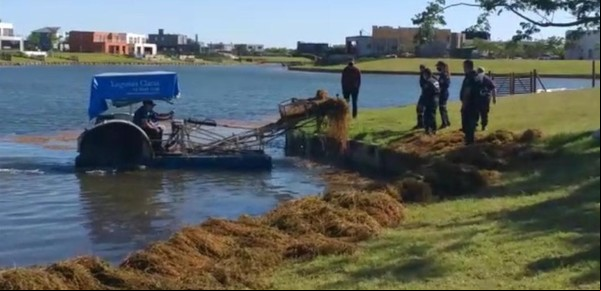 Intensifican la búsqueda del DJ que se cayó de un kayak en el lago de un country de Escobar
