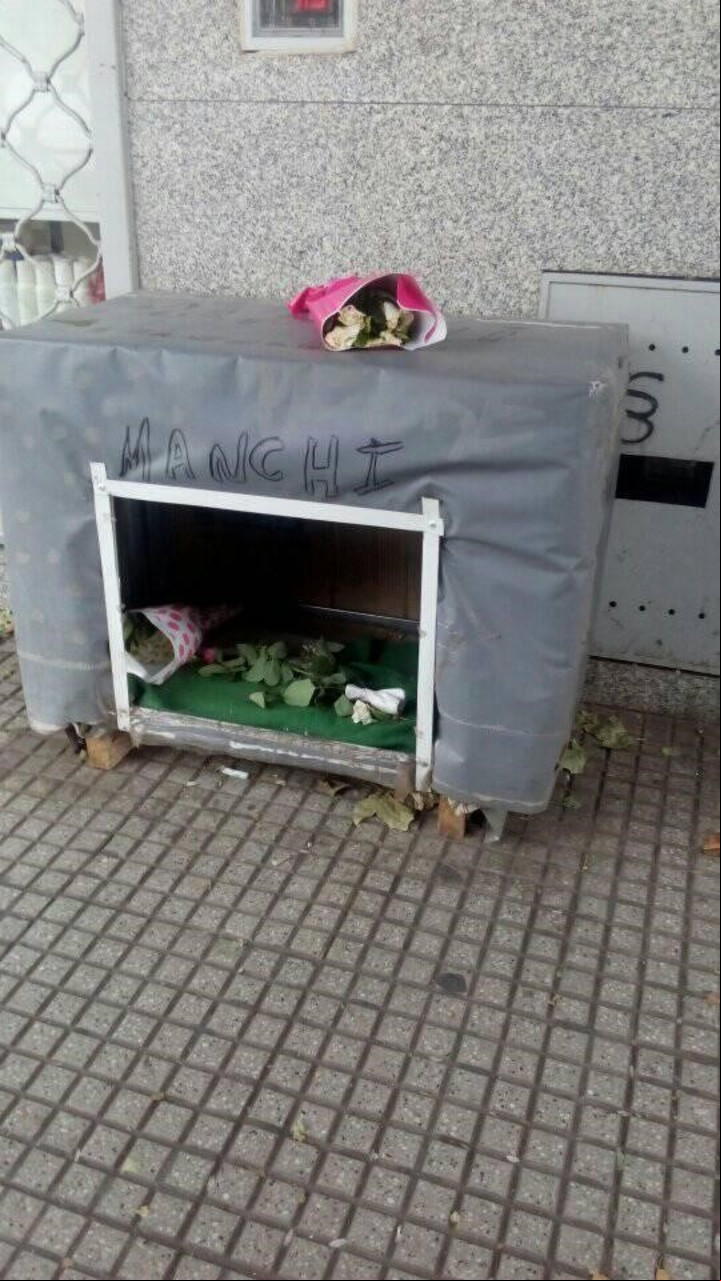 Devoción. En la cucha de Manchi empezaron a aparecer ramos de flores en honor a su memoria.