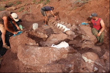 Buscadores de dinosaurios gigantes: los secretos de un trabajo de hormiga