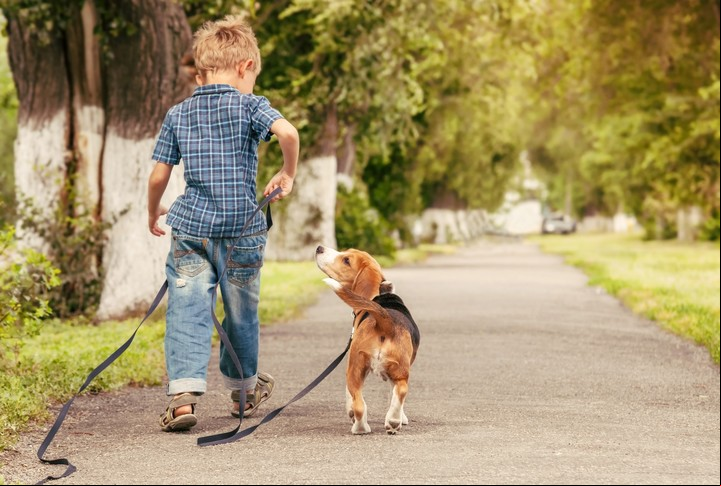 Hay que evitar los paseos en horas de alta exposición solar. Foto Shutterstock.