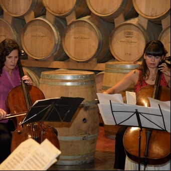 Fin de cosecha en Mendoza: el vino y la música se fusionan para recibir a los turistas