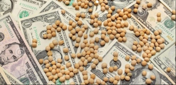 El aporte del campo en los acuerdos con el FMI