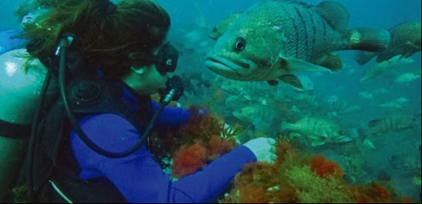 Los mejores lugares para hacer buceo en Argentina
