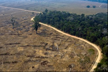 Sarlo, Graciela Borges, Pérez Esquivel y más de 700 intelectuales reclaman que el debate socioambiental llegue a los políticos