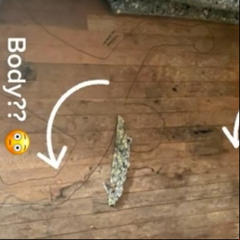 Levantó la moqueta de su nueva casa y encontró la escena de un crimen