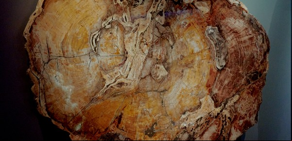 Por qué la geología es nuestro destino