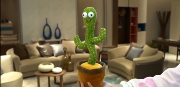 Compró un cactus bailarín para su hijo y se llevó una increíble sorpresa
