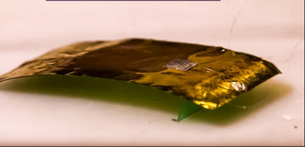 Crean un robot que parece una cucaracha y es capaz de soportar un millón de veces su propio peso