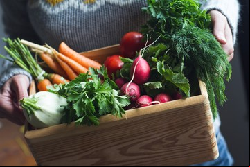 Huerta urbana: qué plantar en julio en tu balcón