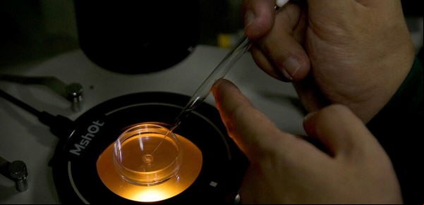 ¿Cuáles deben ser lo límites de la edición genética en humanos?