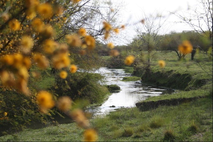 Arroyo Las Hemanas en El Paraíso, Ramallo.
