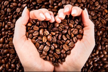 El secreto del plato con café en la heladera: para qué sirve y cuáles son sus beneficios