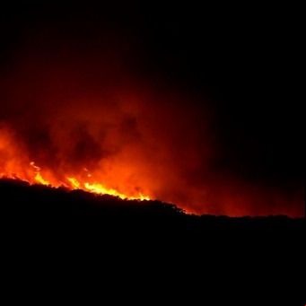 Desastre "sin precedentes" en Cerdeña por los incendios forestales