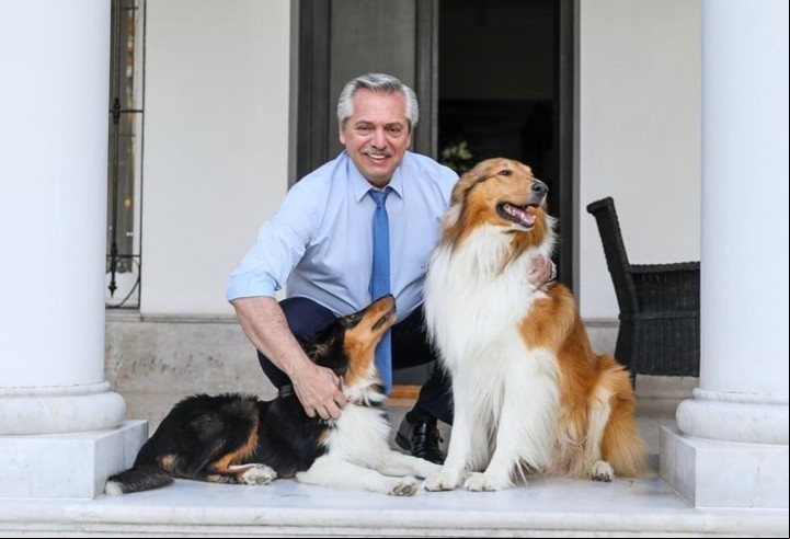 Dylan y Prócer, dos de las mascotas presidenciales. Foto dylanferdezok