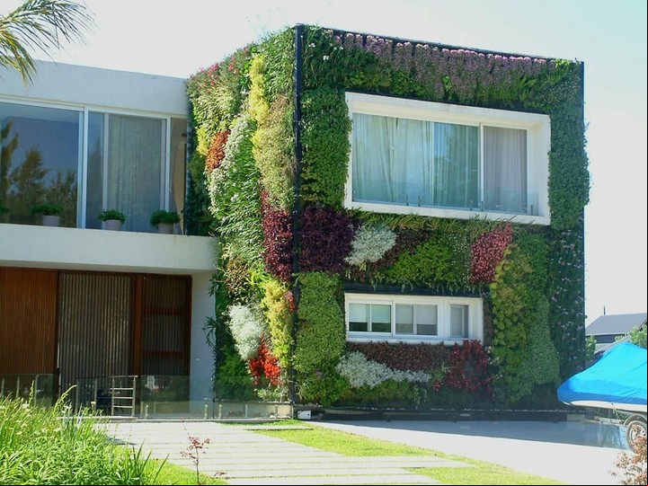 Los jardines verticales son un buen aislante térmico de las paredes. Foto: Gentileza Facebook GP Jardines Verticales.