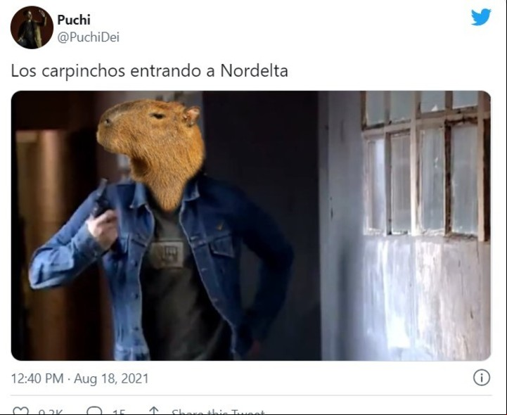 Los memes de los carpinchos virales en las redes sociales.