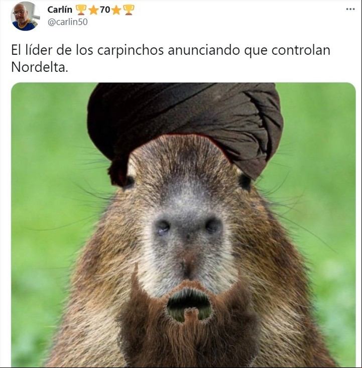 Los memes de los carpinchos virales en las redes sociales.