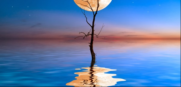 Luna llena en Acuario de agosto 2021: ¡y se va la segunda!