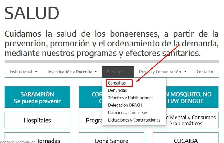 El menú al que hay que acceder para consultar el registro de médicos de la Provincia de Buenos Aires. Imagen: Captura.