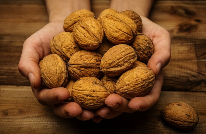Las propiedades de las nueces para la memoria y el cerebro. Foto Shutterstock.