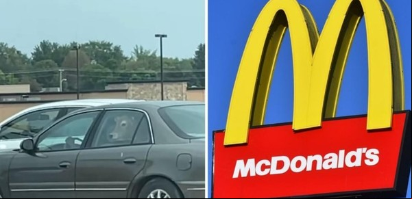 Un hombre fue al autoservicio de McDonald's con tres vacas en su auto