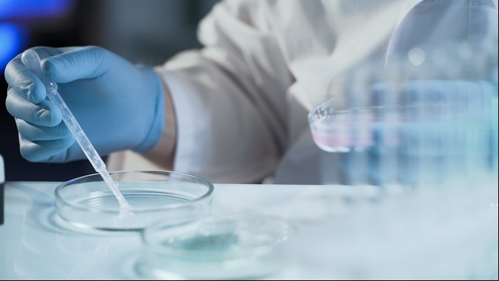 Es un avance revolucionario que podría potencialmente ayudar en la investigación de desórdenes genéticos (Shutterstock).