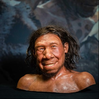 Reconstruyen el rostro del primer neandertal neerlandés: vivió hace 50.000 y 70.000 años