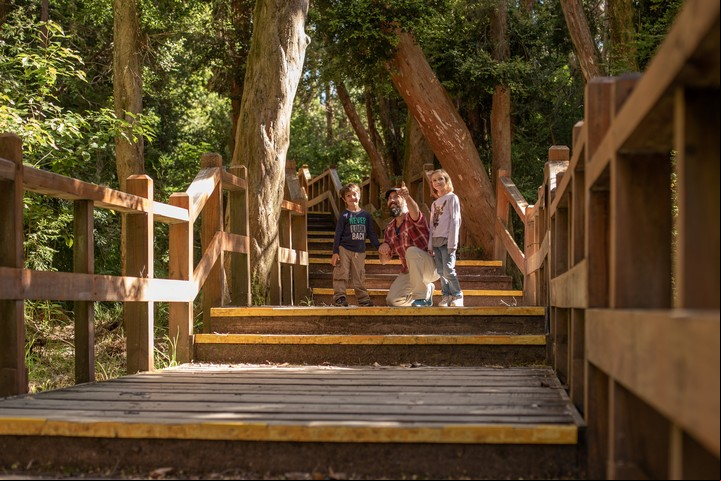 La caminata en el Bosque de Arrayanes es de dificultad baja. Foto Ministerio de Turismo de Neuquén