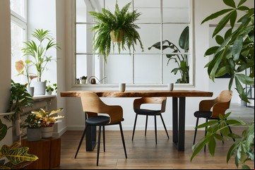 Cuáles son las 5 plantas "mala onda" que no debemos tener en casa
