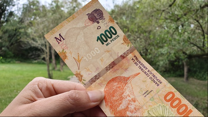 Al observar el billete de $ 1.000 con luz detrás aparecen medidas de seguridad claves, como la marca de agua. Foto: Archivo.