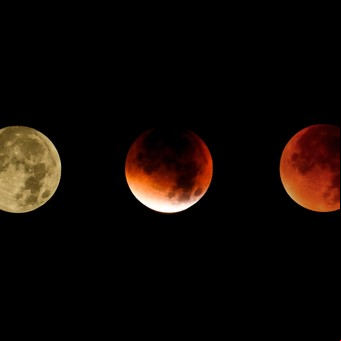 Eclipse de Luna llena en Tauro del 19 de noviembre 2021: cómo afecta a cada signo