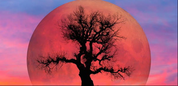 Luna llena en Tauro de noviembre 2021 con eclipse lunar: pasar por el agujero negro escorpiano