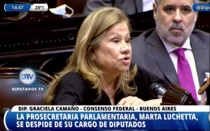 Graciela Camaño en Diputados.