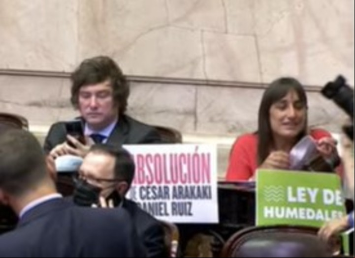 Javier Milei junto a Romina del Pla.