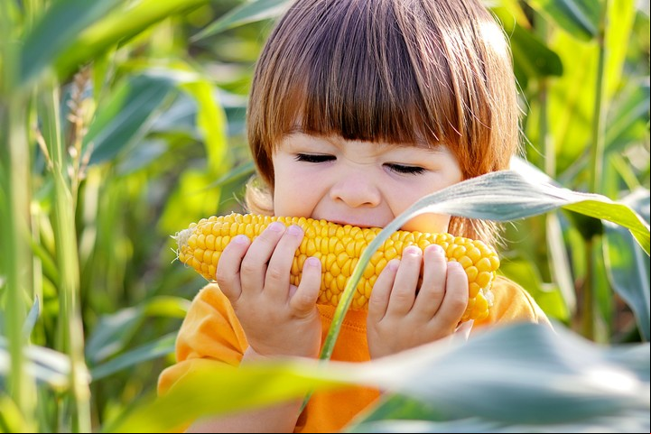 Snack, picoteo y oversnacking. Foto: ilustración Shutterstock.